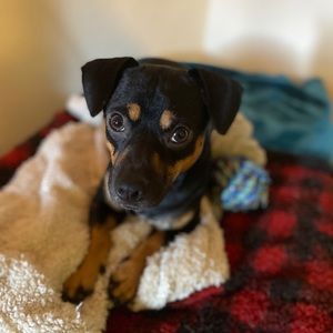 Meet your Posher, Jenna